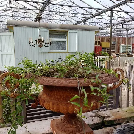 אתר קמפינג Pipowagen Overnachting Het Houten