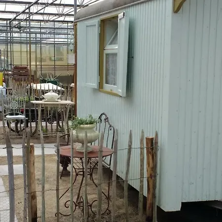Kemp Pipowagen Overnachting Het Houten *