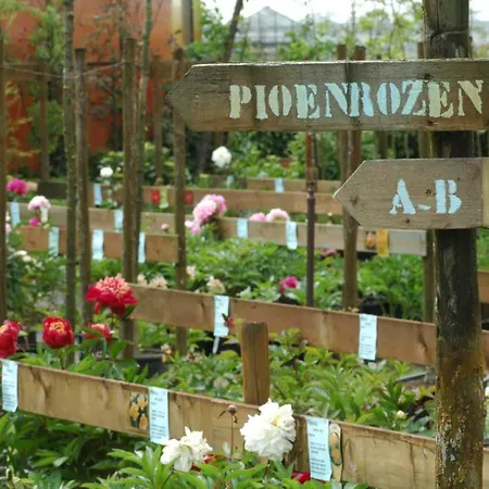 Pipowagen Overnachting Het Houten