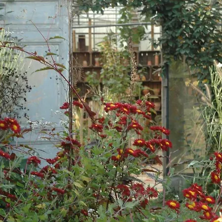 אתר קמפינג Pipowagen Overnachting Het Houten