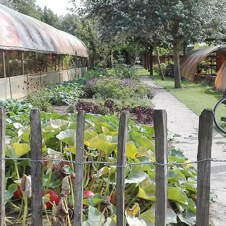 Pipowagen Overnachting Het Houten זאלטבומל