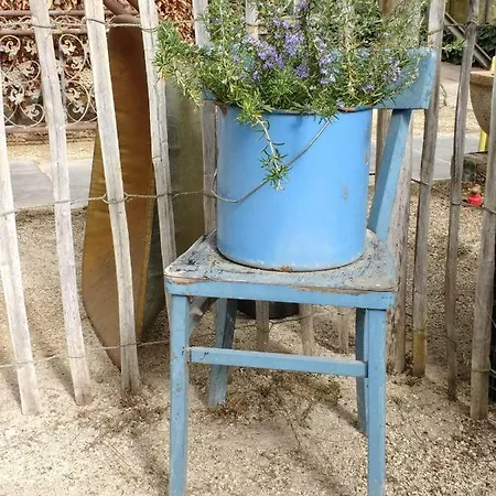 Pipowagen Overnachting Het Houten אתר קמפינג