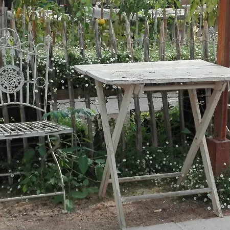 Pipowagen Overnachting Het Houten * זאלטבומל