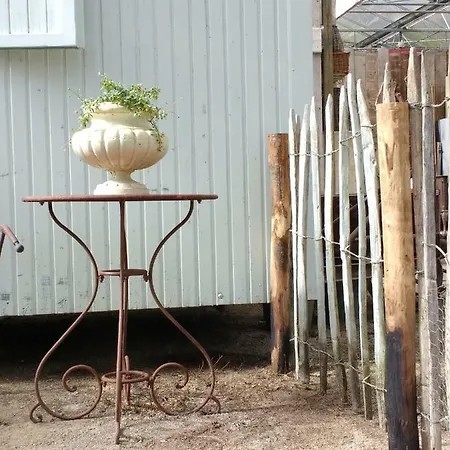 Pipowagen Overnachting Het Houten