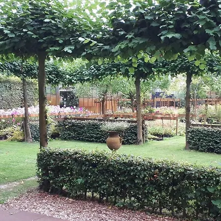 Pipowagen Overnachting Het Houten *