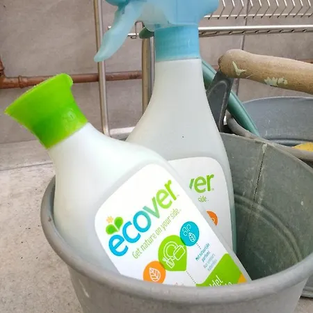 Pipowagen Overnachting Het Houten Kemp Zaltbommel