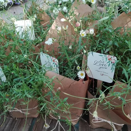 Pipowagen Overnachting Het Houten Zaltbommel