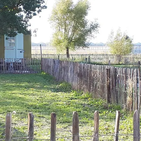 Pipowagen Overnachting Het Houten